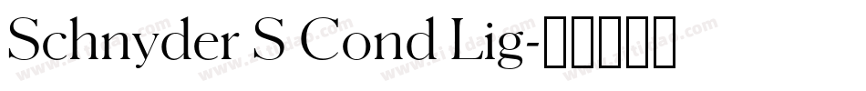 Schnyder S Cond Lig字体转换